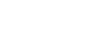 Thisladyconnects