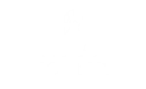 logo-this-lady-connects